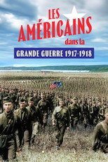 Les Am&eacute;ricains dans la Grande Guerre : 1917-1918