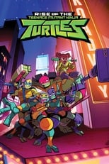 Poster for Rise of the Teenage Mutant Ninja Turtles Season 2