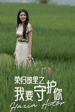 荣归故里之我要守护你 poster