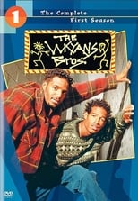 Poster for The Wayans Bros. Season 1