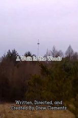 A Walk In The Woods poster