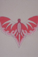 Bat Kite Lucy Robin