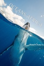 Oceans Africa poster