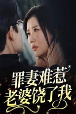 罪妻难惹：老婆饶了我 poster