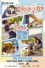 宠物医生 poster