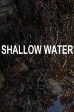 Poster for Shallow Water