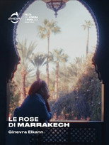 Le rose di Marrakech