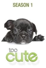 Poster for Too Cute Season 1