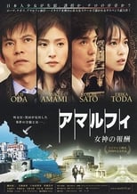 アマルフィ 女神の報酬 (2009)