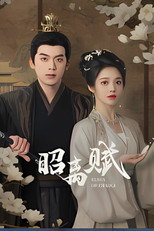 The Chronicles of Zhao Li poster