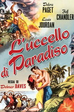 L'uccello di Paradiso