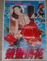 Poster for Searching for Love