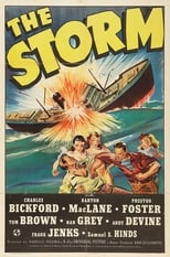 Poster for The Storm 