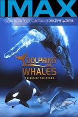 Poster di Delfini e balene - Le tribù degli oceani