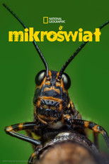 Mikroświat