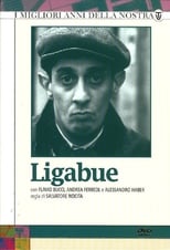 Poster for Ligabue