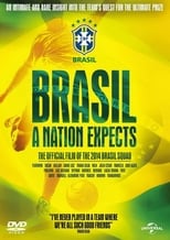 Brasil: A Nation Expects (2014)