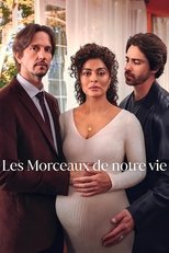 Les Morceaux de notre vie poster