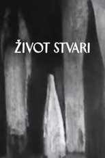 Život stvari