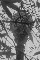 November Afternoon poster