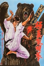Karate Bullfighter