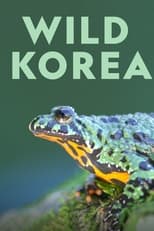 Poster for Wild Korea