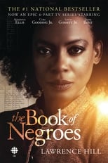 Poster for The Book of Negroes Season 1