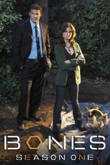 Poster for Bones Season 1
