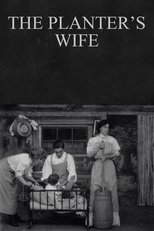 The Planter's Wife poster movie
