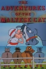 Poster for The Adventures of the Maltese Cat