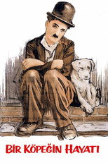 Bir Köpeğin Hayatı