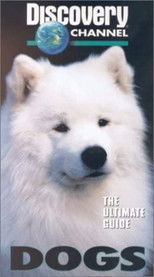 The Ultimate Guide - Dogs poster