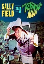 Poster for The Flying Nun Season 3