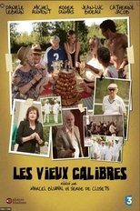 Poster for Les Vieux Calibres 