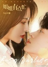 姐姐有点忙 poster