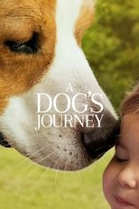 Image A Dog’s Journey (2019) หมา เป้าหมาย และเด็กชายของผม 2