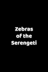Zebras of the Serengeti poster