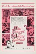 Poster for The Secret of Magic Island