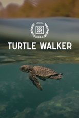 Turtle Walker (2024)
