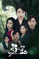 寻玉 poster