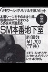 SM Basement