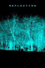 Reflection