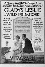 Wild Primrose poster