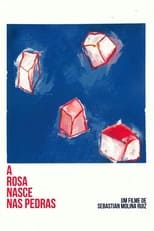 Poster for A Rosa Nasce Nas Pedras 
