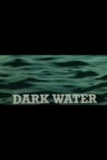 Dark Water poster