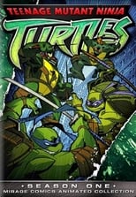 Poster for Teenage Mutant Ninja Turtles Season 1