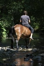 The Boy from the River Drina (2025)