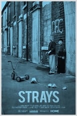 Poster for Strays