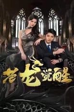 苍龙觉醒 poster