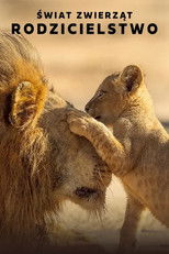 Świat zwierząt: Rodzicielstwo